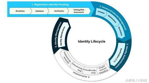 金准报告 数字识别技术赋能产业升级——应用解析与技术服务体系构建