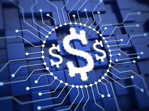 杨望 以数字货币破题普惠金融，数字技术服务实体经济新路径